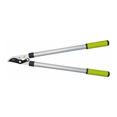 Sudėtinis veiksmas apeina lopperį